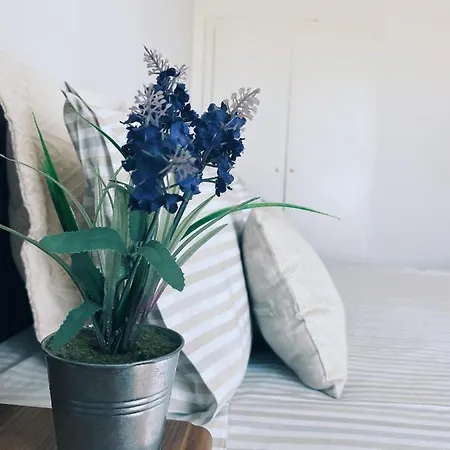 Old Town In Apartment